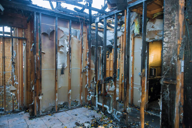 Professional Fire Damage Removal technician working in Ione, CA